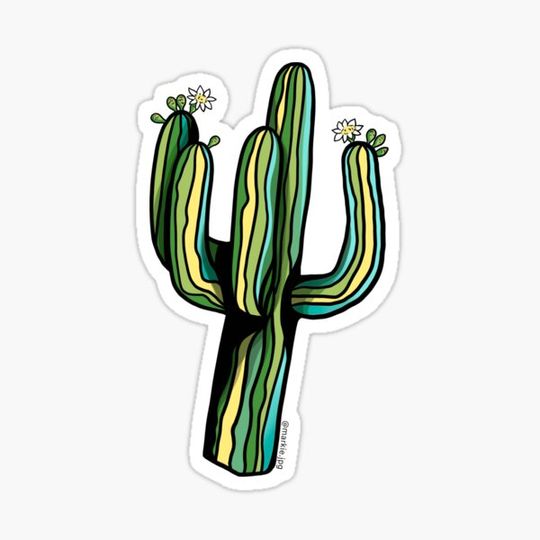 Discover Saguaro Cactus