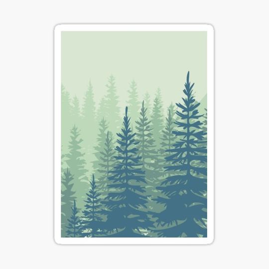 Discover Scandinavian Evergreen Forest Landscape