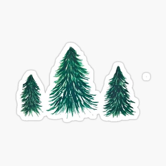 Discover Pine trees