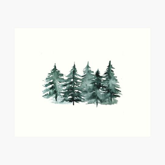 Discover Fir trees