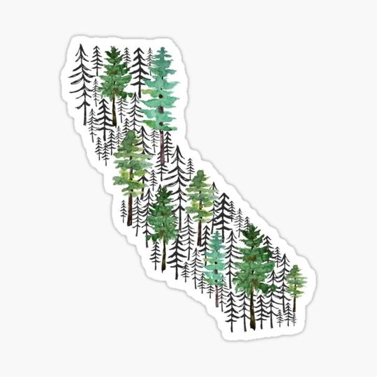 Discover California Trees