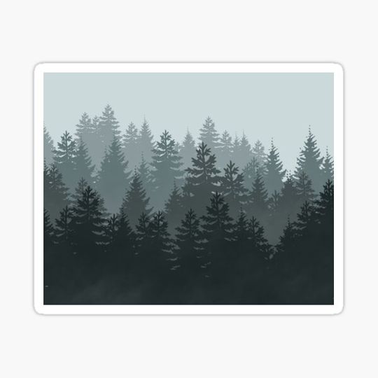 Discover Misty Forest