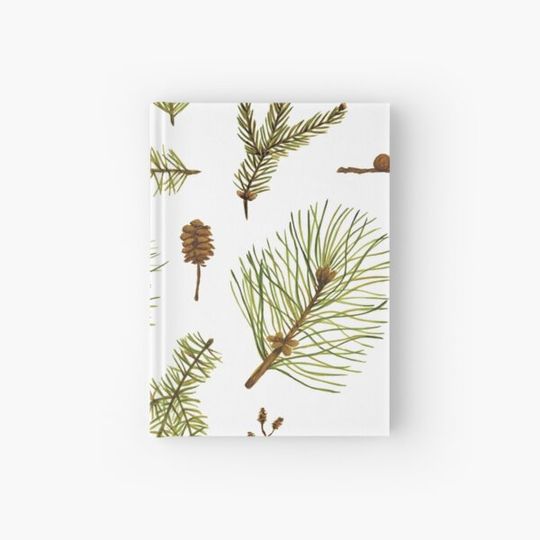 Discover Pine Needles and Acorns