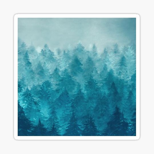Discover Misty Pine Forest