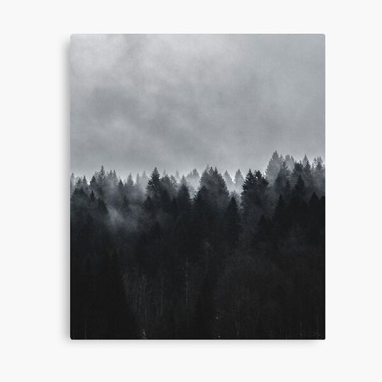 Discover Misty Forest Aesthetic Drawing