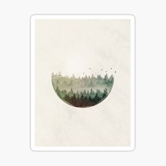 Discover Fir Trees