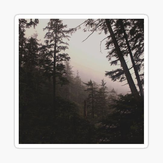 Discover Oregon Coastal Forest