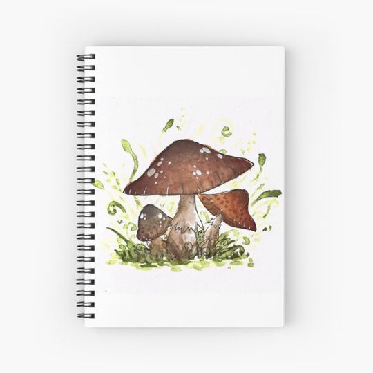 Discover Mushroom