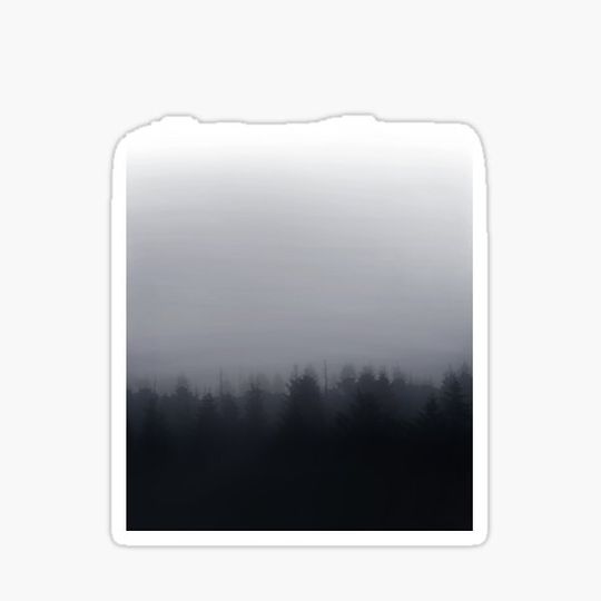 Discover Foggy forest