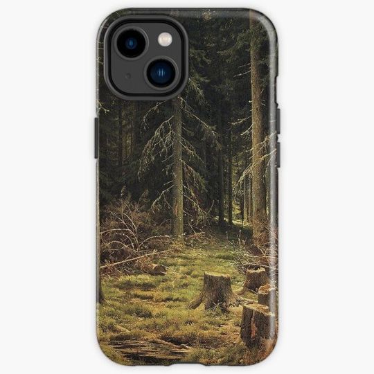 Coniferous forest illustration