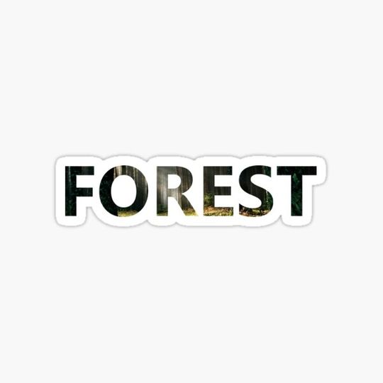 Discover Forest