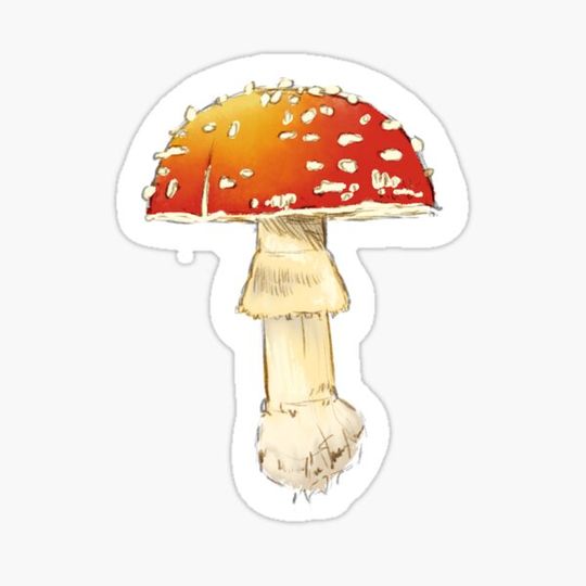 Discover Mushroom 2