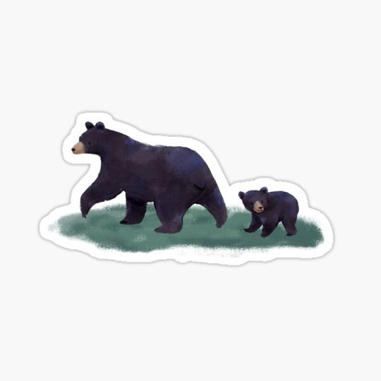 Discover Mama Bear Baby Bear