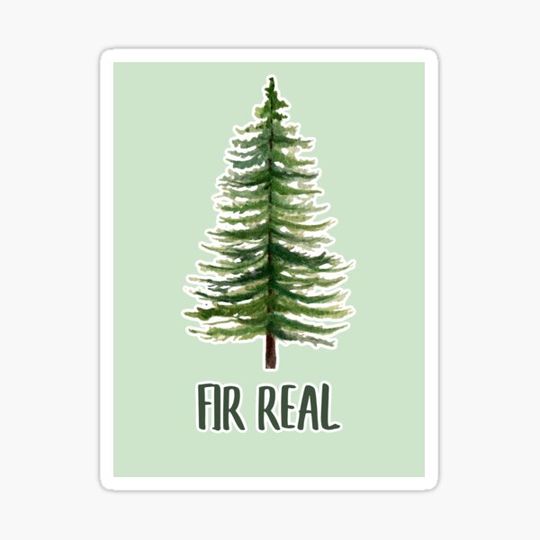 Discover Fir real tree pun