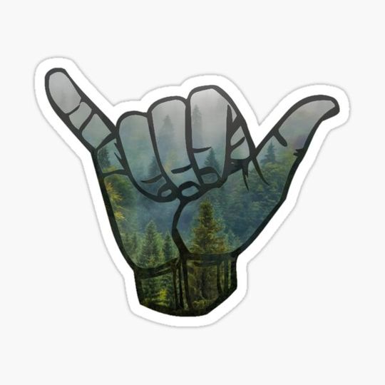 Discover Misty Forest Hang Loose