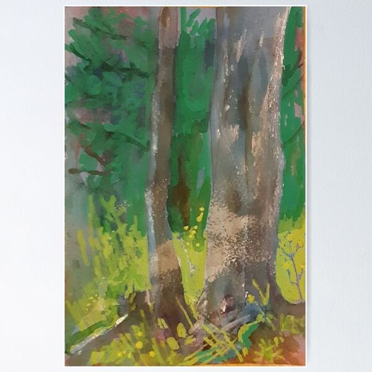 Discover Point Pleasant Trees