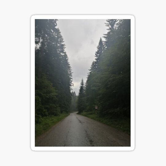 Discover wandering in the forest