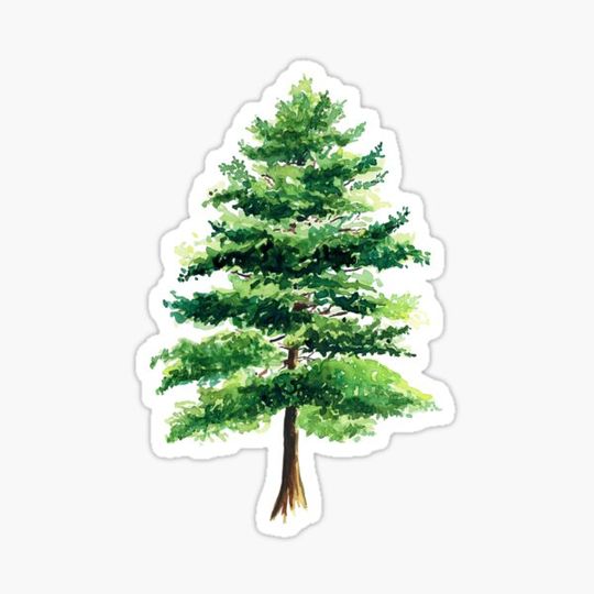 Discover Watercolor Tree Painting