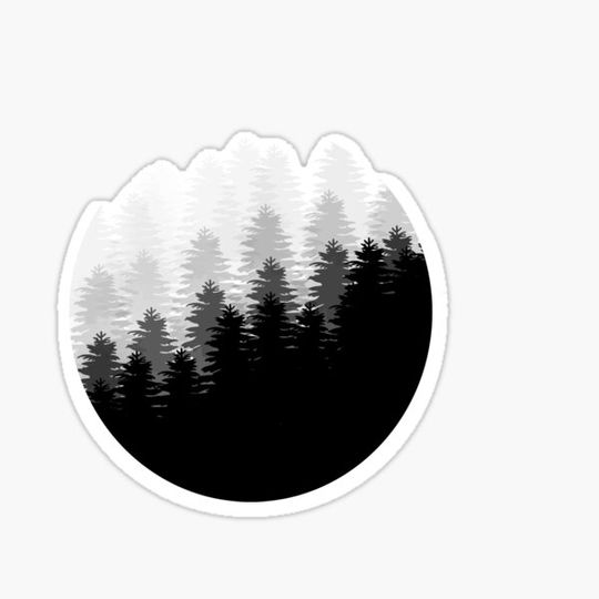 Discover misty forest