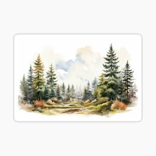 Discover Forest Landscape