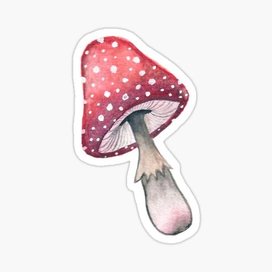 Discover Water Color Magic Mushroom