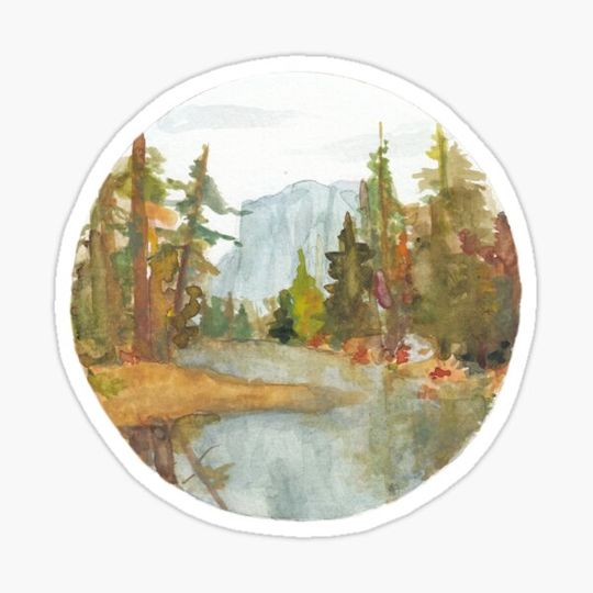 Discover Beyond the Trees
