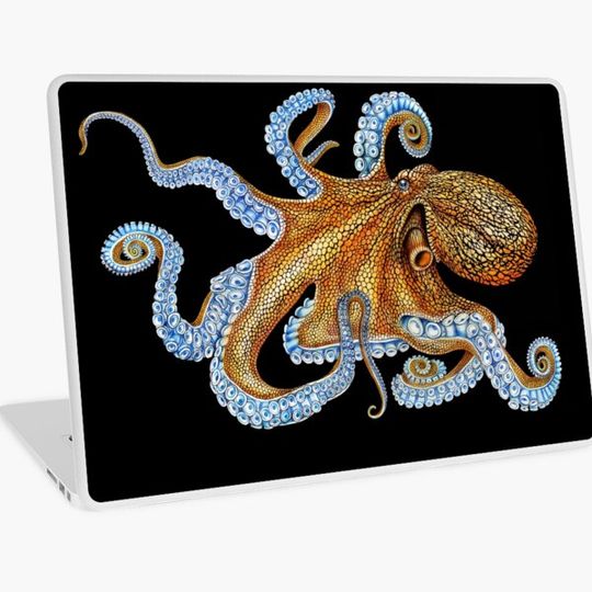 Discover Octopus