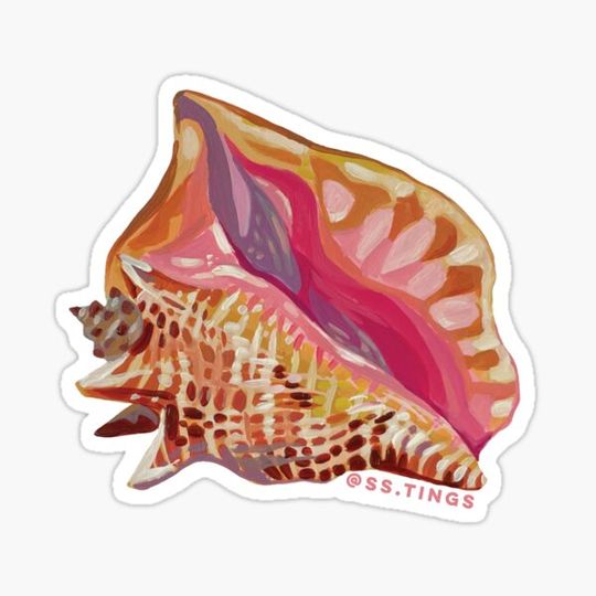 Discover You's Da Conch