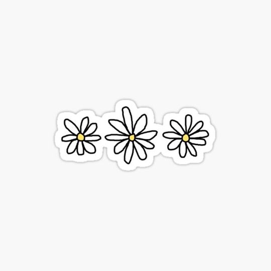 Discover Flowers