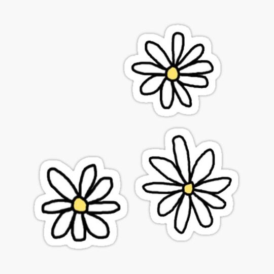 Discover Flower