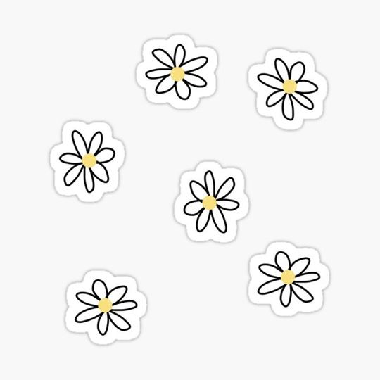 Discover Cute Daisies