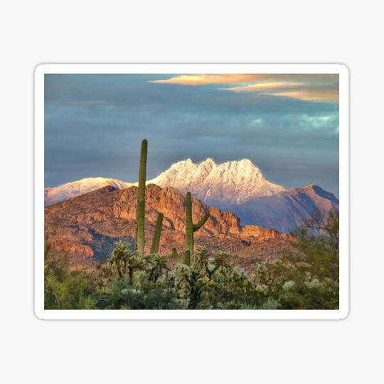 Discover Snowy Four Peaks with Saguaros