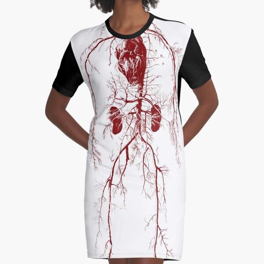 Discover Cardiovascular system