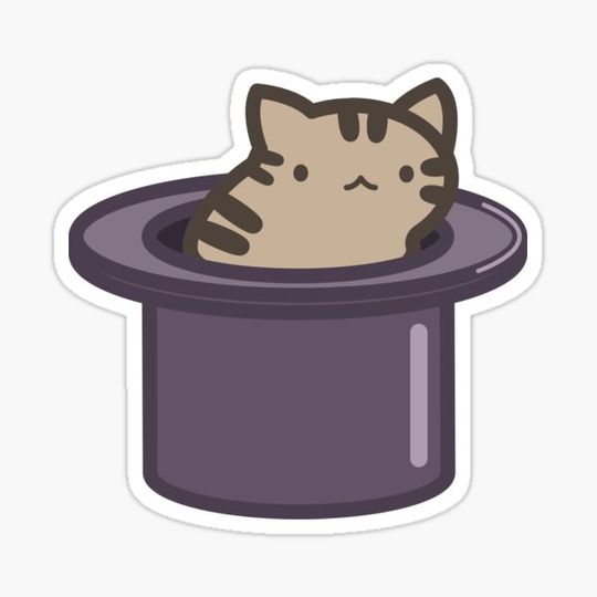 Discover Magic Cat