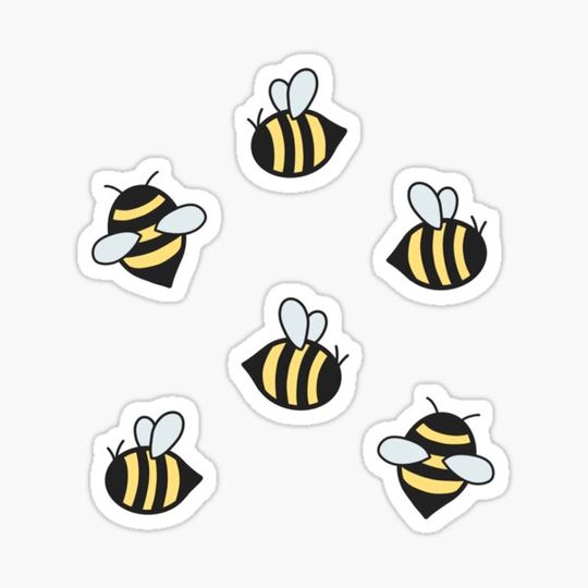 Discover Bees
