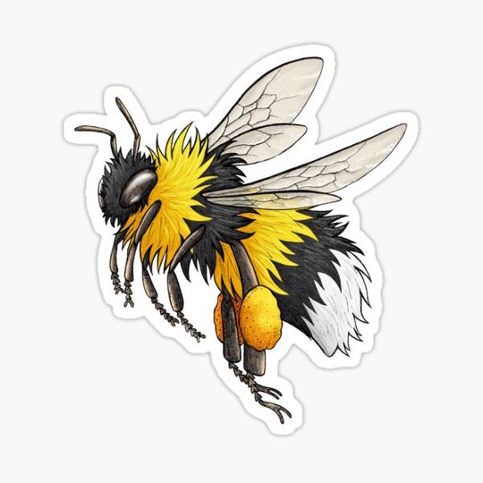 Discover Bumble Bee