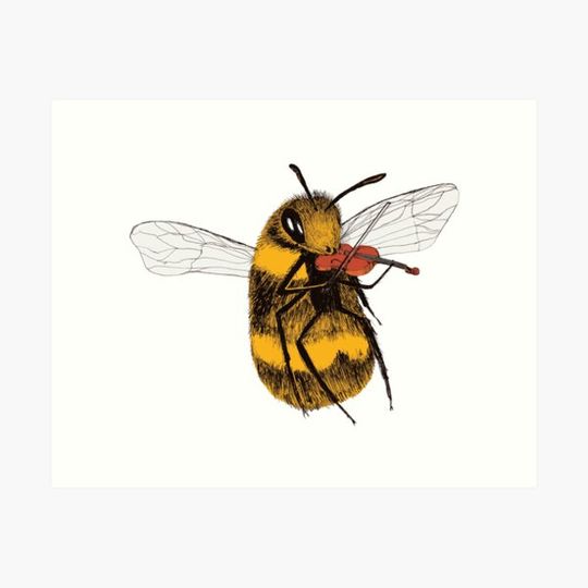 Discover Talented Bee