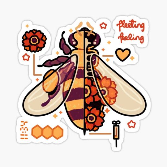Discover Honeybee Anatomy
