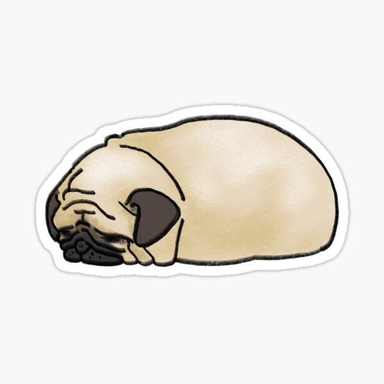 Discover Pug Loaf