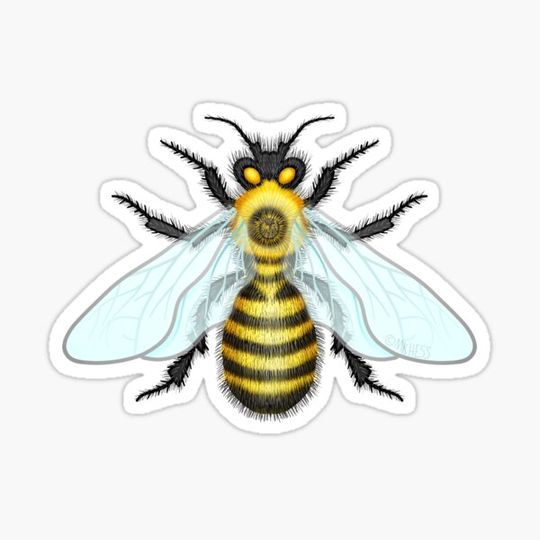 Discover Honeybee Bumblebee Buzzing Bee