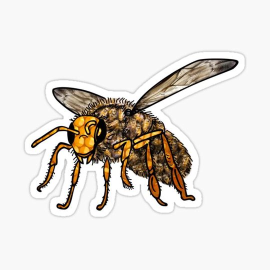 Discover Bee Hive in Bee