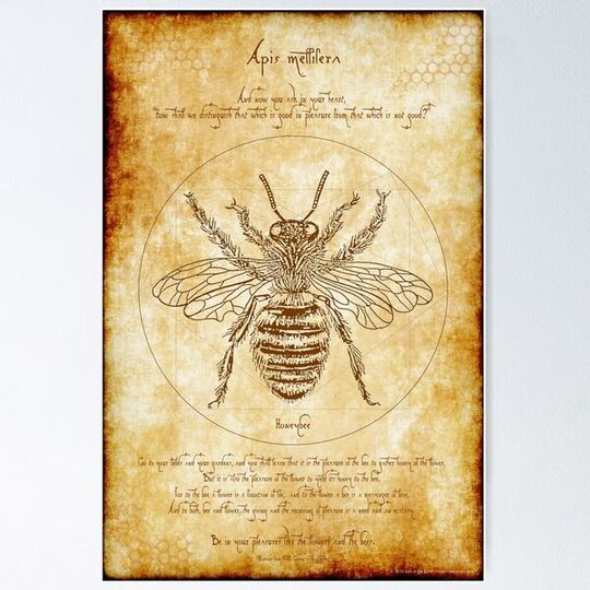 Discover Vitruvian Bee Poster for Gardeners and BeeKeepers