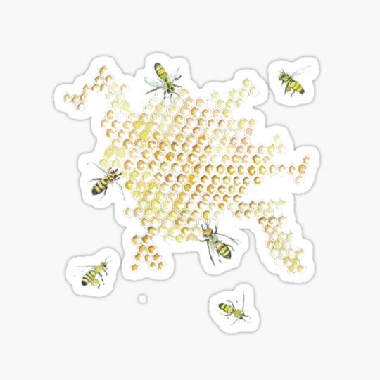 Discover Honeycomb