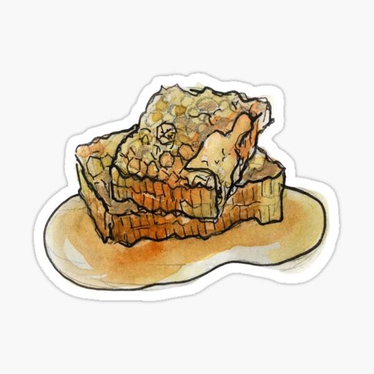 Discover Raw Honeycomb Illustration in Watercolor