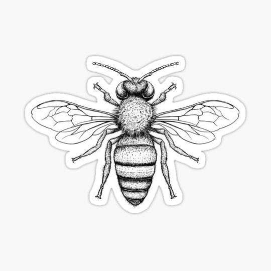 Discover Honey Bee BZZZ
