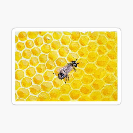 Discover Honey Bee