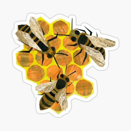 Discover bees on honeycomb