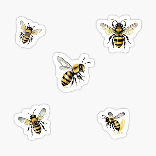 Discover Bees