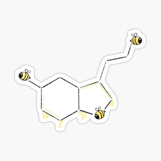 Discover Bees and Seratonin honeycomb