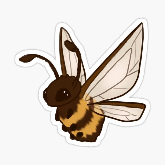 Discover Bee